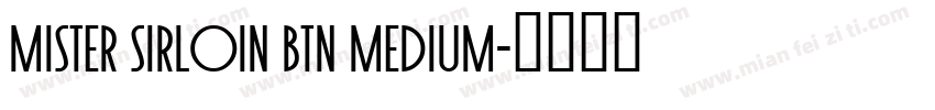 Mister Sirloin BTN Medium字体转换